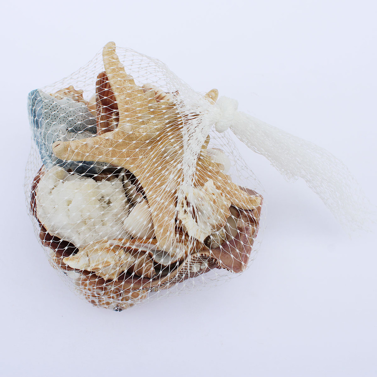 6 Shell Basket - Assorted Craft Shells - California Seashell Company