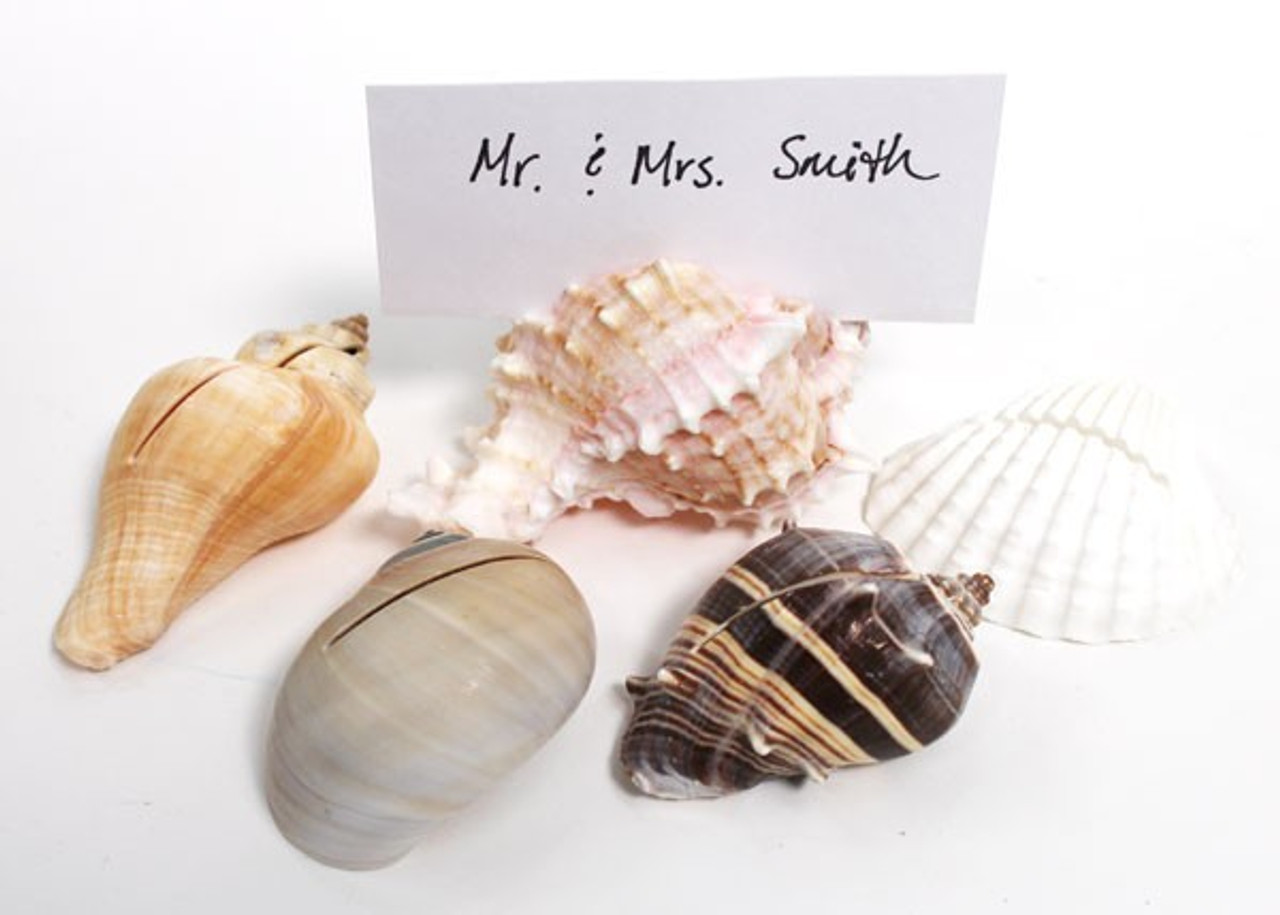 Seashell Place Card Holders