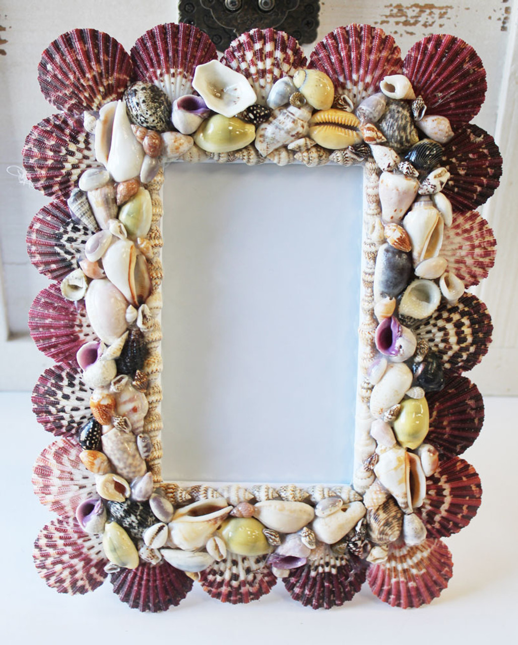 Multi-Color Seashell 3.5 x 5 Picture Frame - Coastal Beach Home Decor -  California Seashell Company