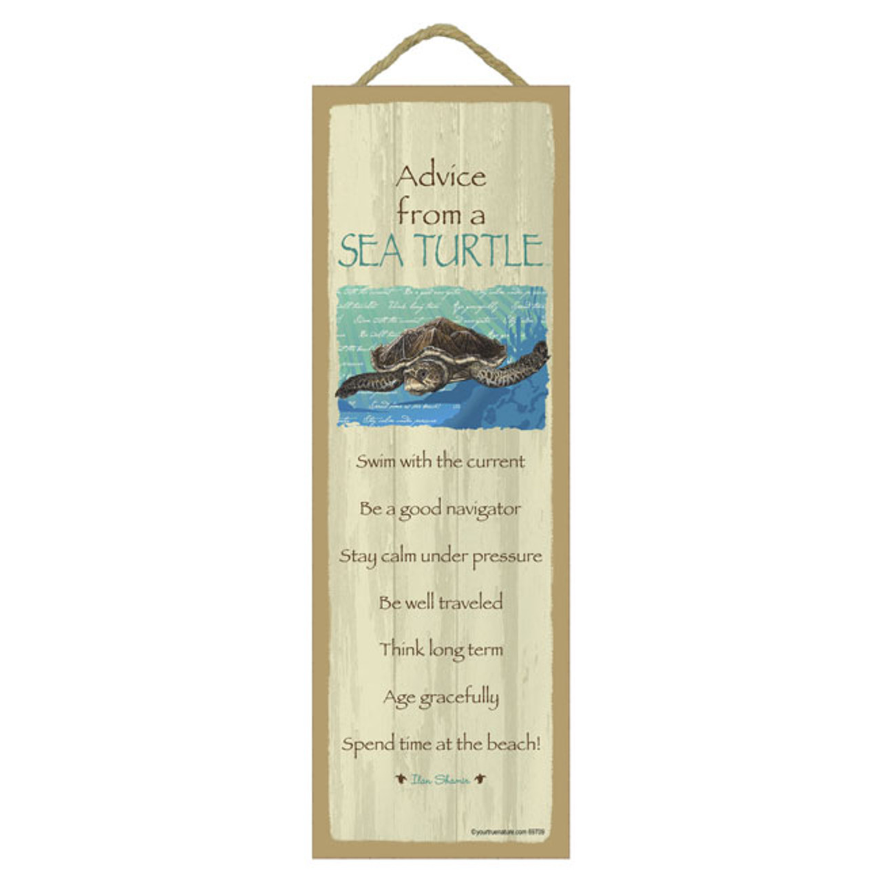 Advice from a Sea Turtle - Made in the USA Wood Sign - California ...