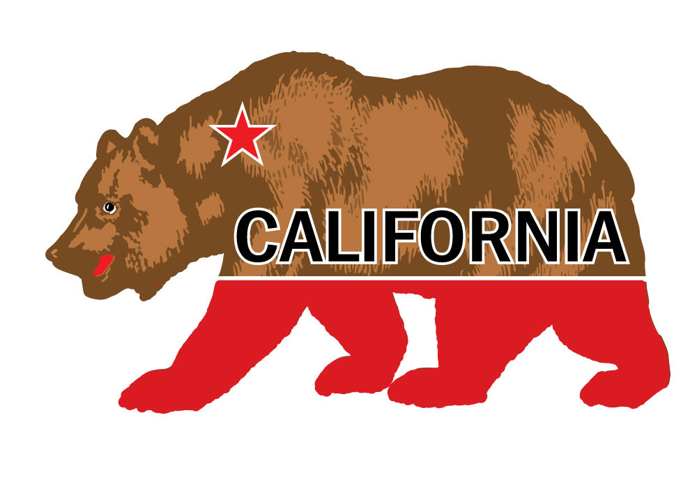 Adesivo In Vinile 3S Motorline California Bear Star - Decalcomania Auto 4'' - Bianco Opaco Per Carrozzeria - Sda1