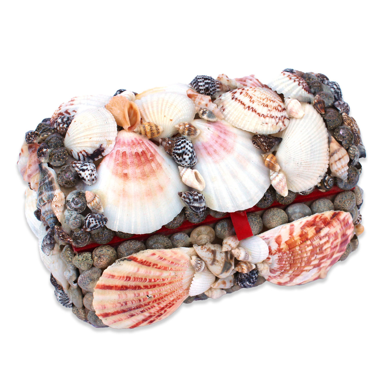 Treasure Shell Natural Seashell Treasure Chest - Shell Jewelry Box - Beach Wedding or ...