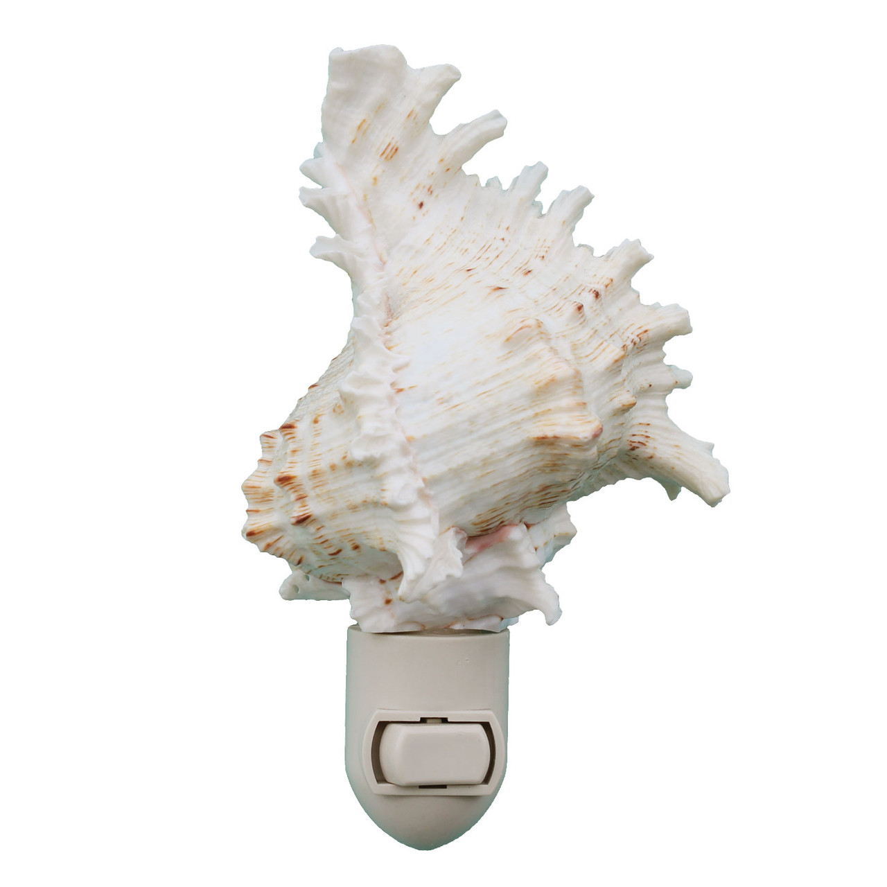 ハワイコア　シェル　ルームライト Ramose Murex Night Light - Shell & Nautical Bathroom Decor