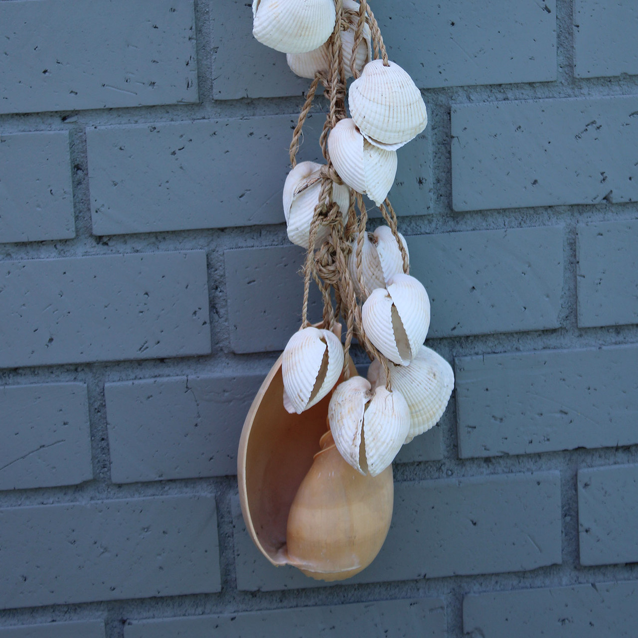シェルガーランド♡ 22098-long-white-clam-