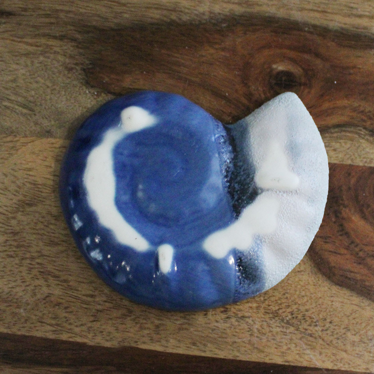 Ceramic Nautilus Shell Jewelry Holder - Coastal Wedding Favor