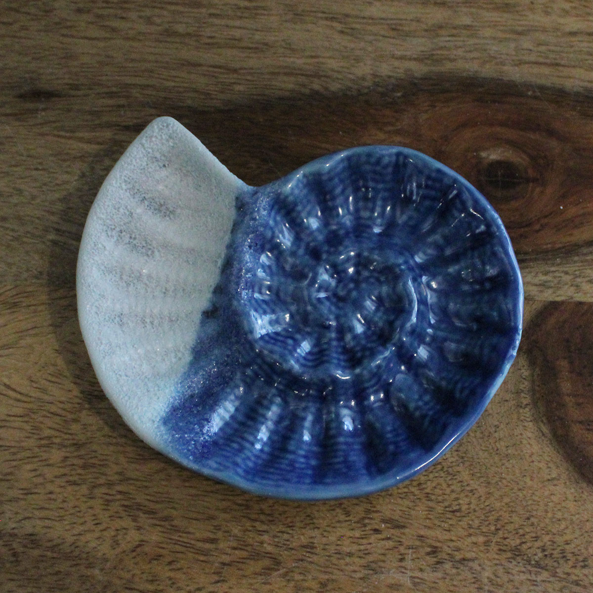 Ceramic Nautilus Shell Jewelry Holder - Coastal Wedding Favor