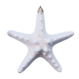 Large Thorny Starfish Glitter Seashell Ornament - Christmas Tree ...