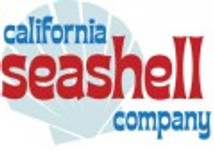 California Seashell Company