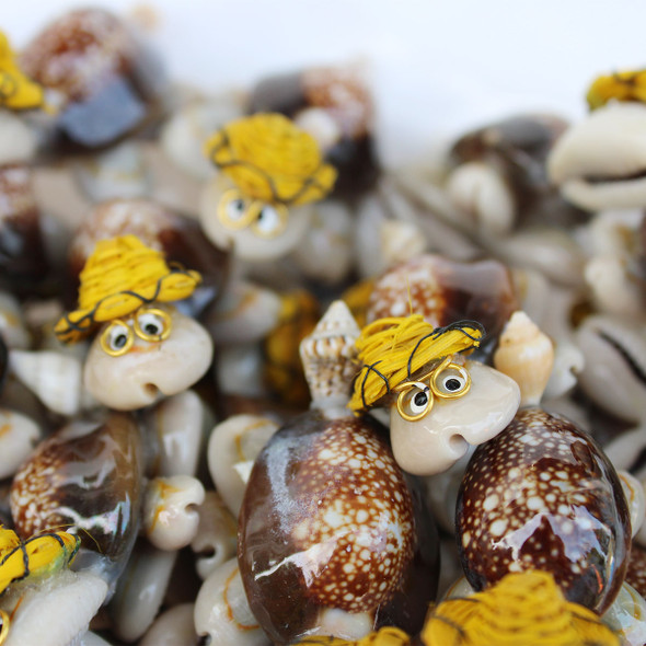 Seashell Novelties - Sea Shell Decor - The California Seashell Company