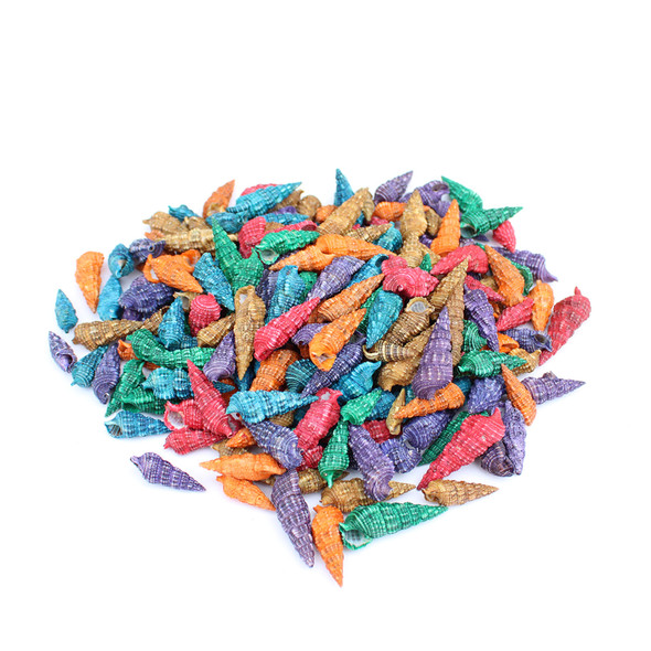 Dyed Cerithium Atratum Seashells
