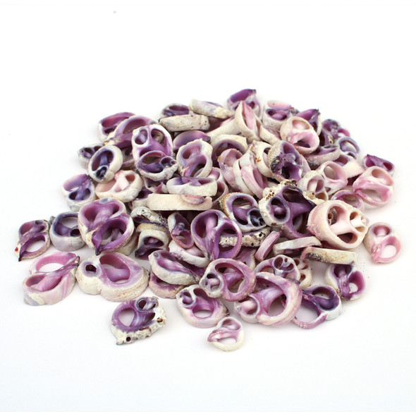 Center Cut Violacea