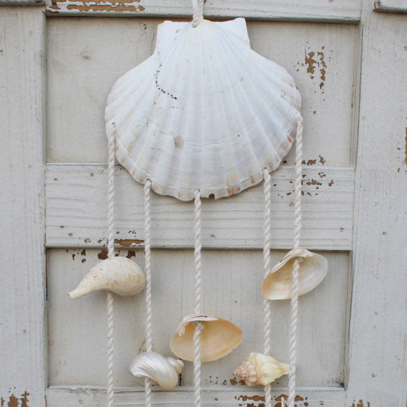 Scallop Shell Chime Close Up
