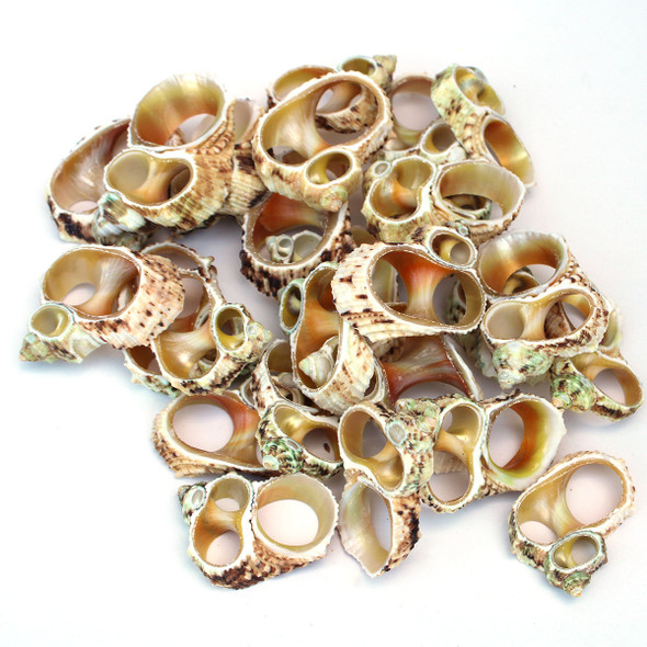 Center Cut Gold Mouth Turban