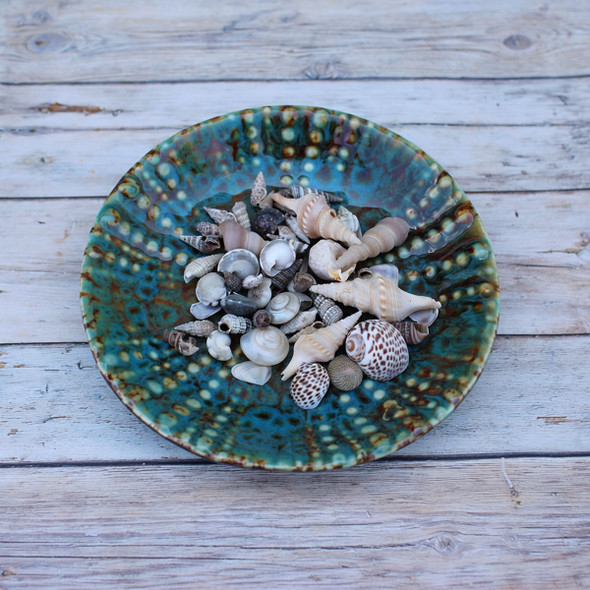 Ceramic Urchin Plate with Shells