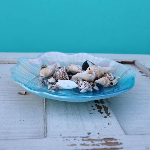 Seashell Dish