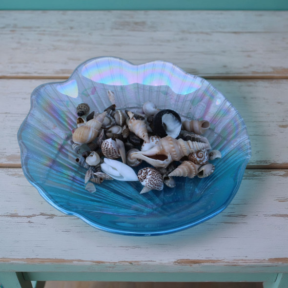 Seashell Dish