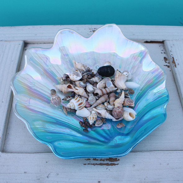 Blue Glass Seashell dish