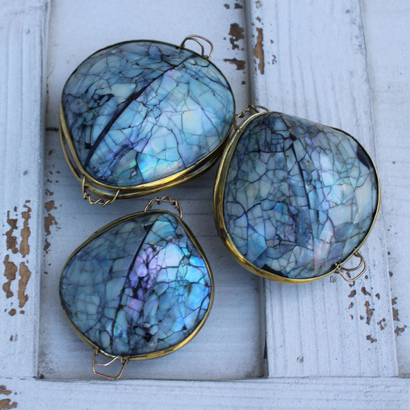 Blue Seashell Coin Purse