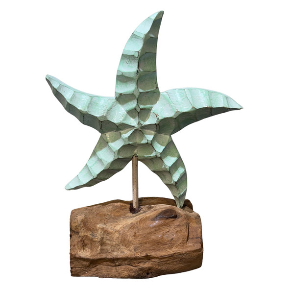 Blue Starfish on Driftwood