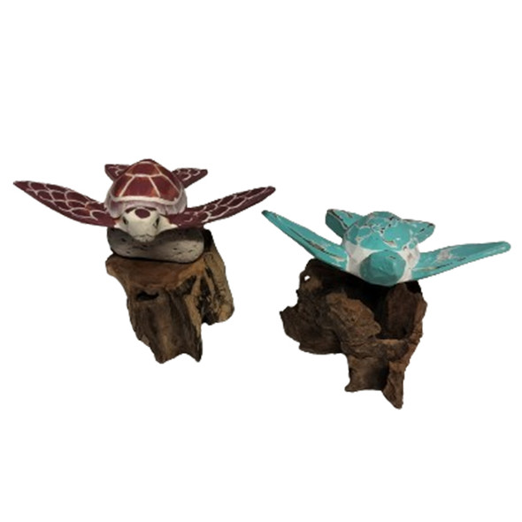 Sea Turtles on Driftwood