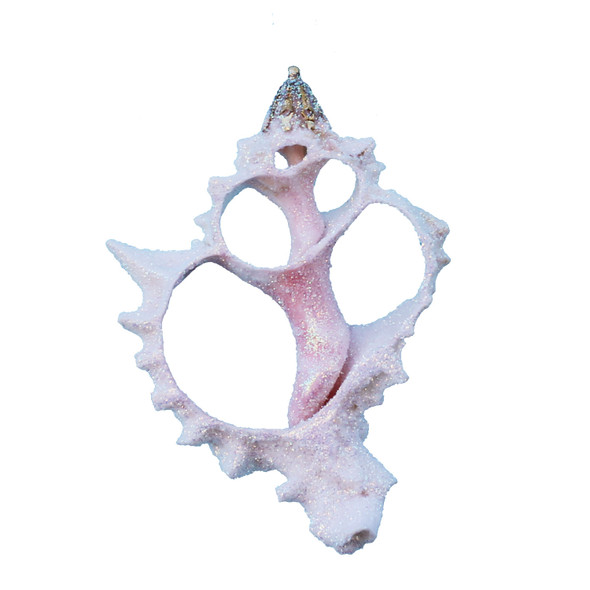 Sliced Pink Murex Glitter Seashell Ornament