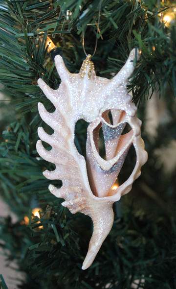Small White Tibia Glitter Seashell Ornament - Christmas Tree