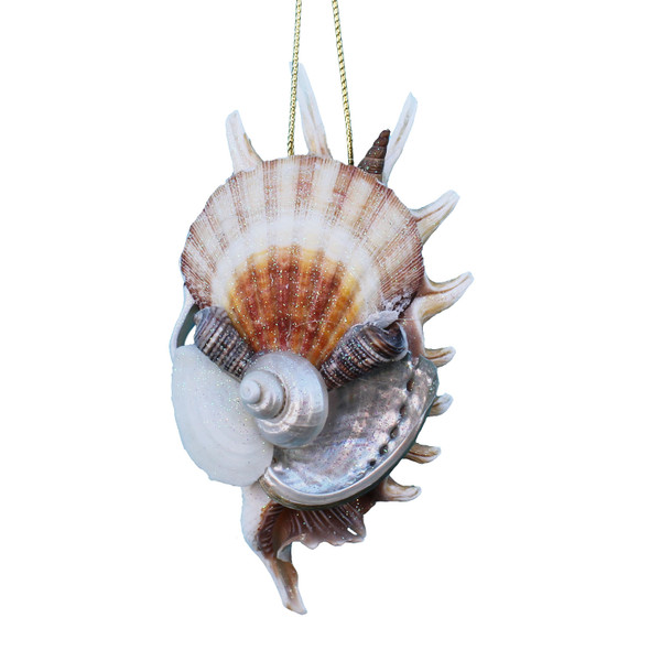 Hand-Crafted Sliced Millipede Shell Collage Ornament
