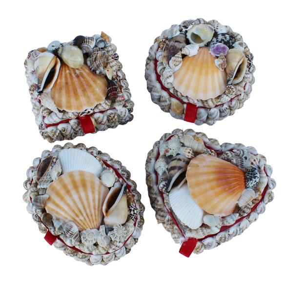 Various Shaped Shell Boxes