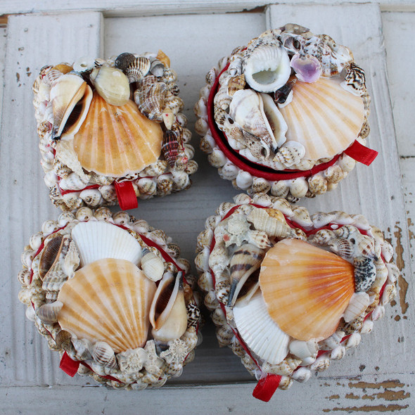Mini Seashell Boxes