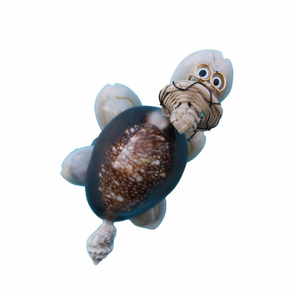 Shell Turtle