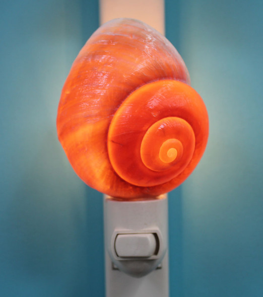 Brown Snail Shell Night Light