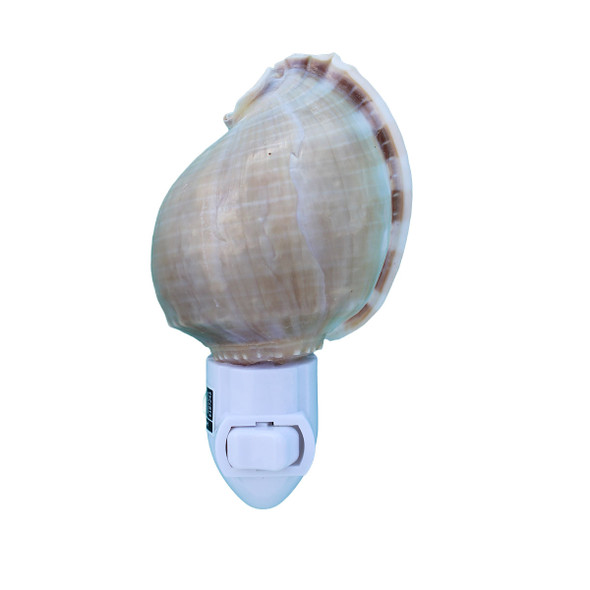 Purple Bonnet Shell Night LIght