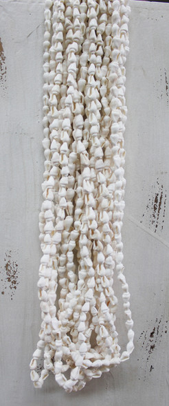 White Nassa Shell Leis