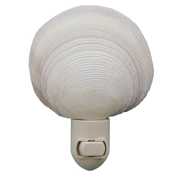 Natural Tigerina Clam Shell Night Light