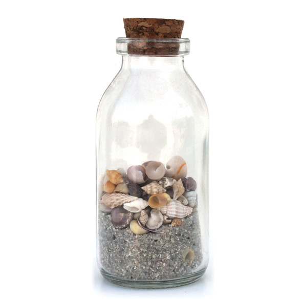 Shell-Filled Bottles with Natural Sand