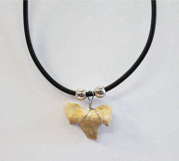 Bull Shark Tooth Necklace 1 Inch Long Genuine & Unrestored –  rocksolidfossils