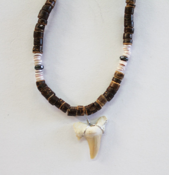 Wholesale Great White Shark Tooth Necklace | Wholesale Shark Teeth Jewelry  – Cool Jewels