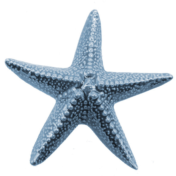 Porcelain Blue Starfish