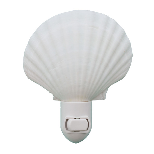 Irish Scallop Seashell Night Light