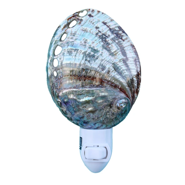 Large Polished Green Abalone Night Light