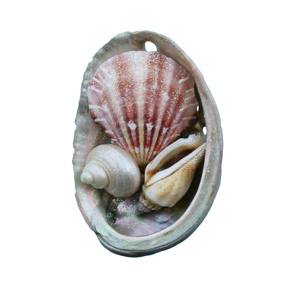 Abalone Collage Magnet