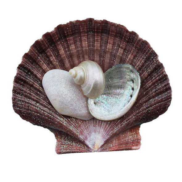 Brown Pectin Shell Collage Magnet
