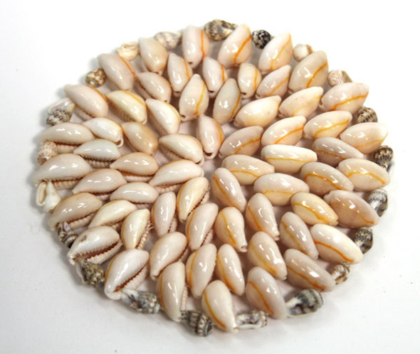4" Seashell Coaster