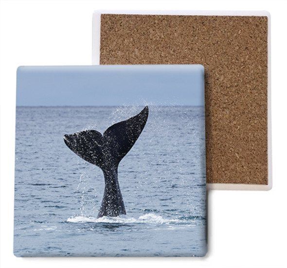 Whale Tail Coaster