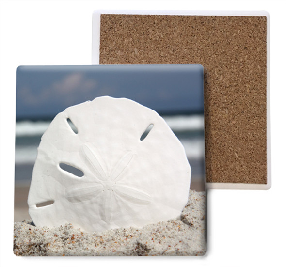 Sand Dollar Coaster