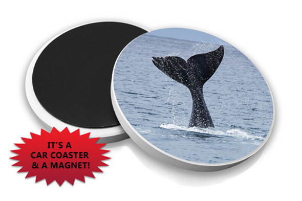 Whale Tail Car Coaster