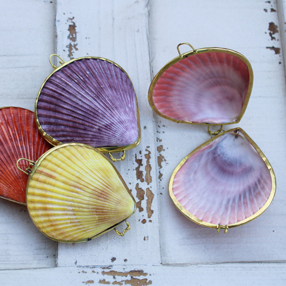 Colorful Pectin Shell Coin Purses