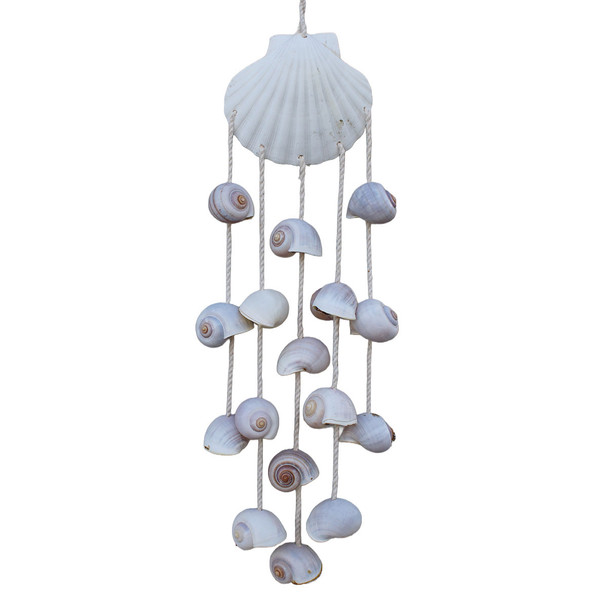 Scallop and Snail Shell CHime