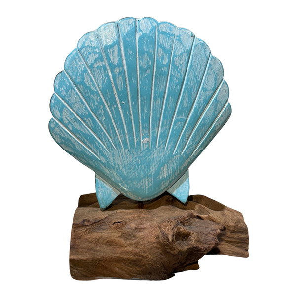 Blue Scallop Shell on Driftwood