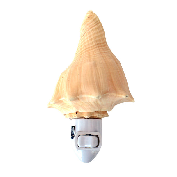 Vole Shell Night Light